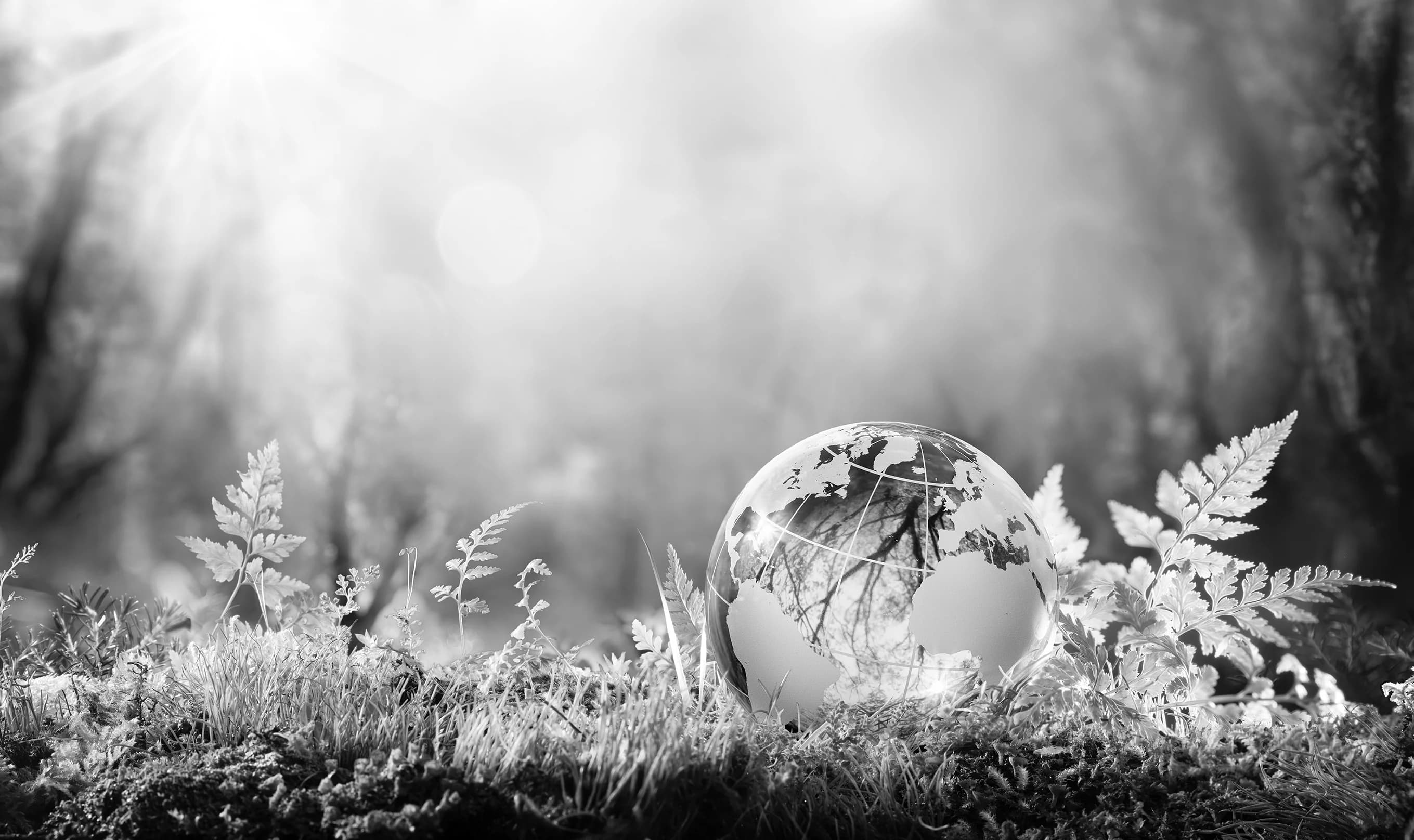 AdobeStock_199850553-bw-7a79cd32.webp